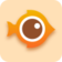 小黃魚