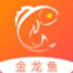 金龍魚(yú)