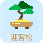 迎客松