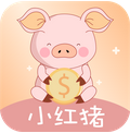 小紅豬
