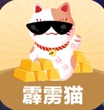 霹靂貓