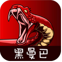 黑曼巴