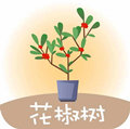 花椒樹
